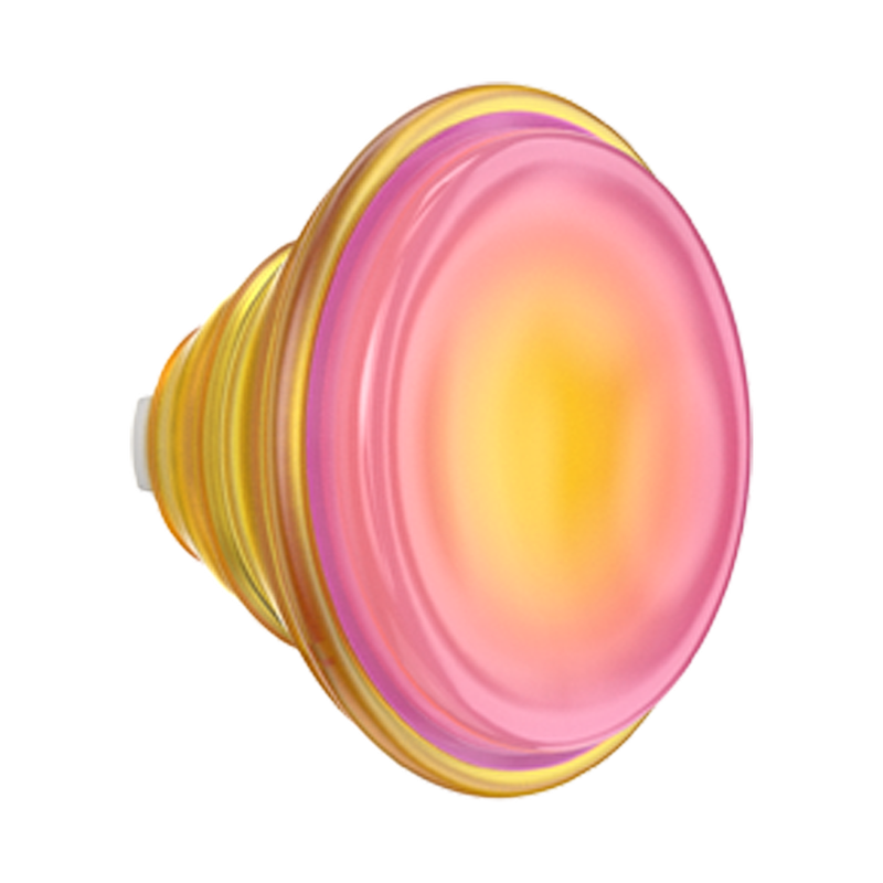 Jelly Sunni B — PopTop