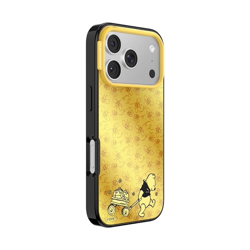 The Honey Division &mdash; iPhone 17 Pro MagSafe Case image number 1