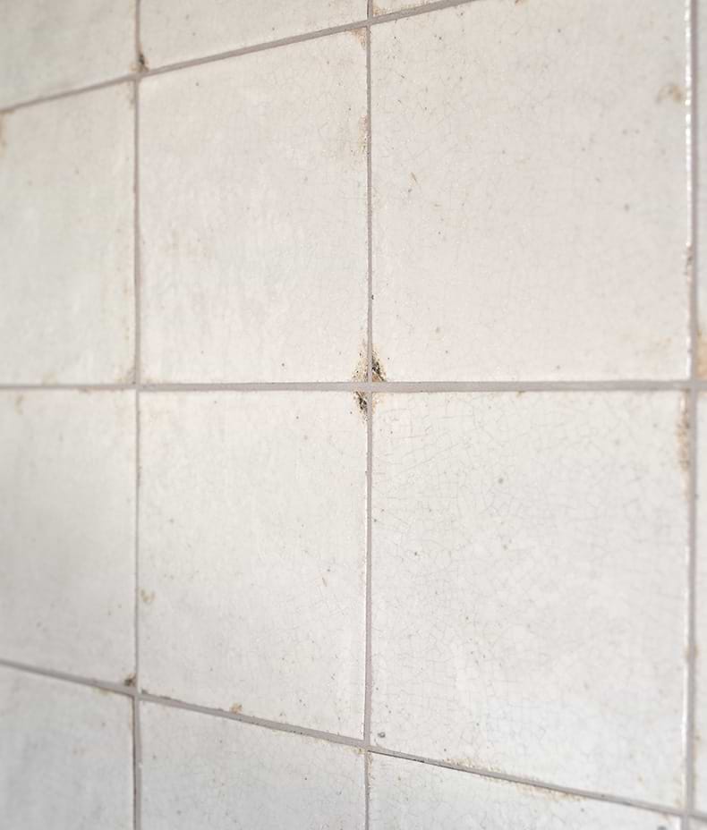 Arte Italiano Blanco Porcelain
