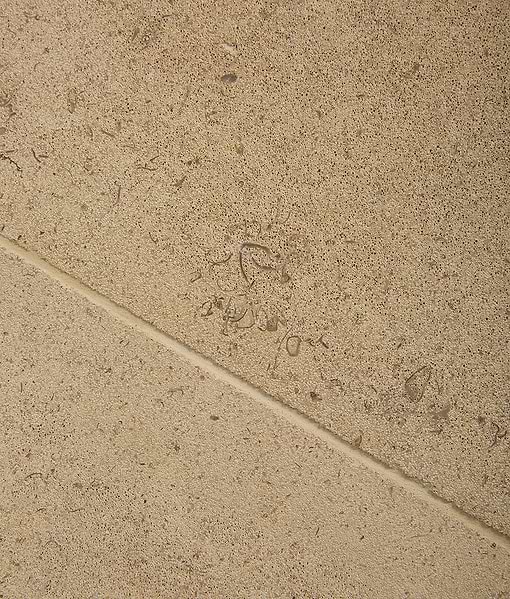 Bath Limestone Honed Finish