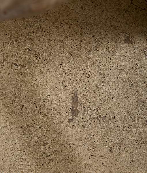 Bath Limestone Honed Finish