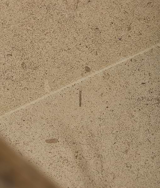 Bath Limestone Honed Finish