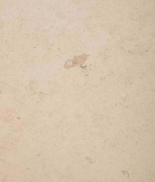 Blandford Limestone Rustic Honed Finish