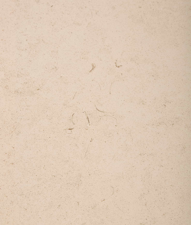 Blandford Limestone Rustic Honed Finish
