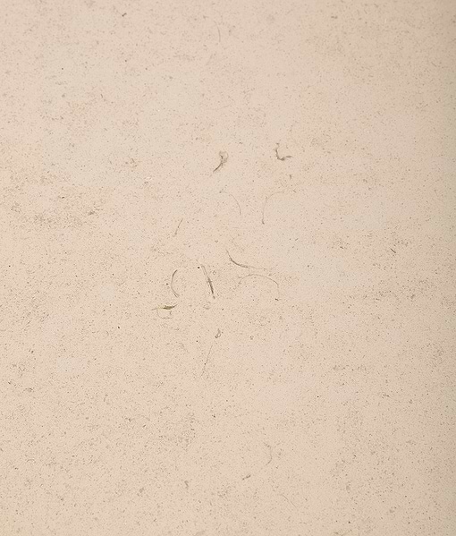 Blandford Limestone Rustic Honed Finish