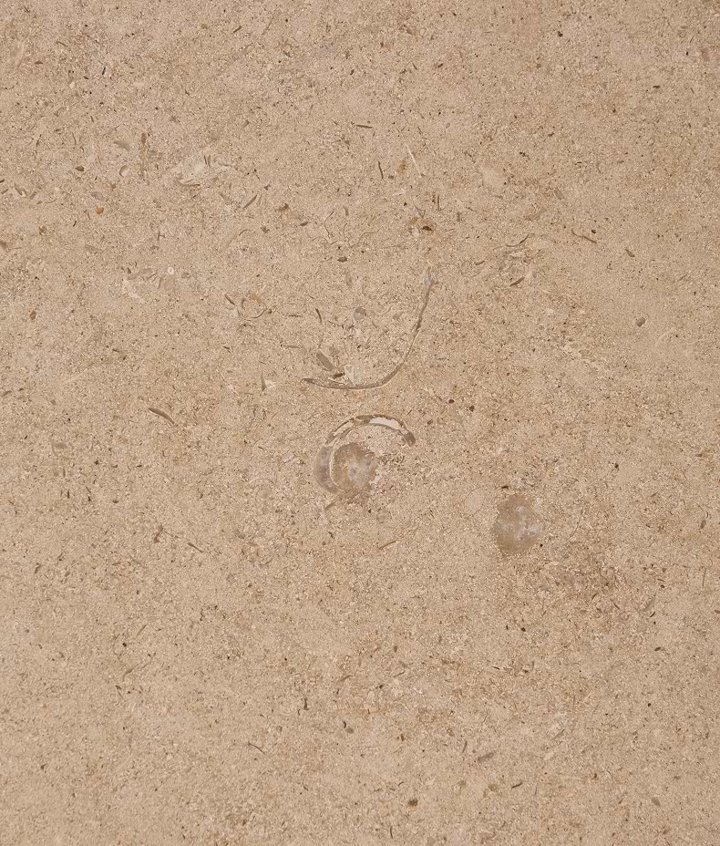 Buscot Limestone Honed Slab