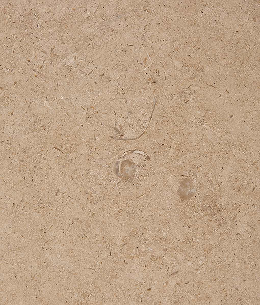 Buscot Limestone Honed Slab