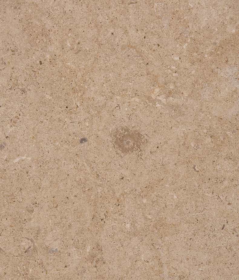 Buscot Limestone Honed Slab
