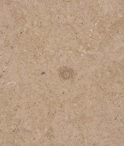 Buscot Limestone Honed Slab