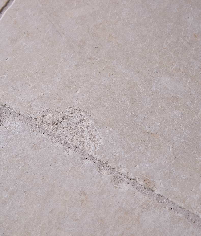 Chateau Limestone Tumbled