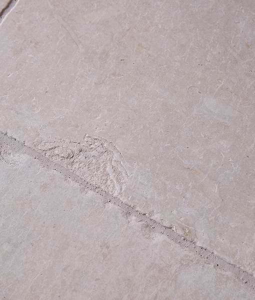 Chateau Limestone Tumbled
