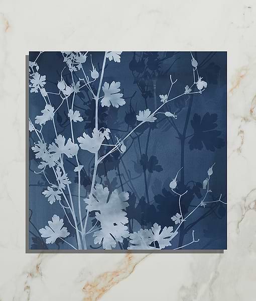 Wild Botanicals Porcelain Blue By Clarissa Hulse