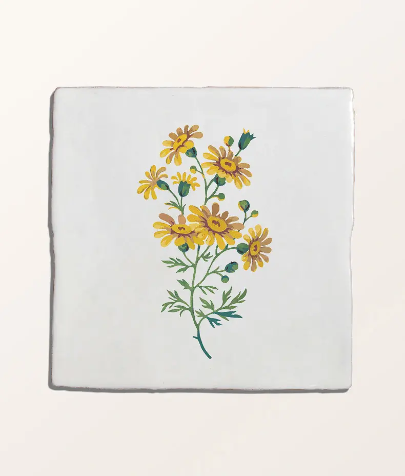 STUDIO Divine Savages The Brambles Collection