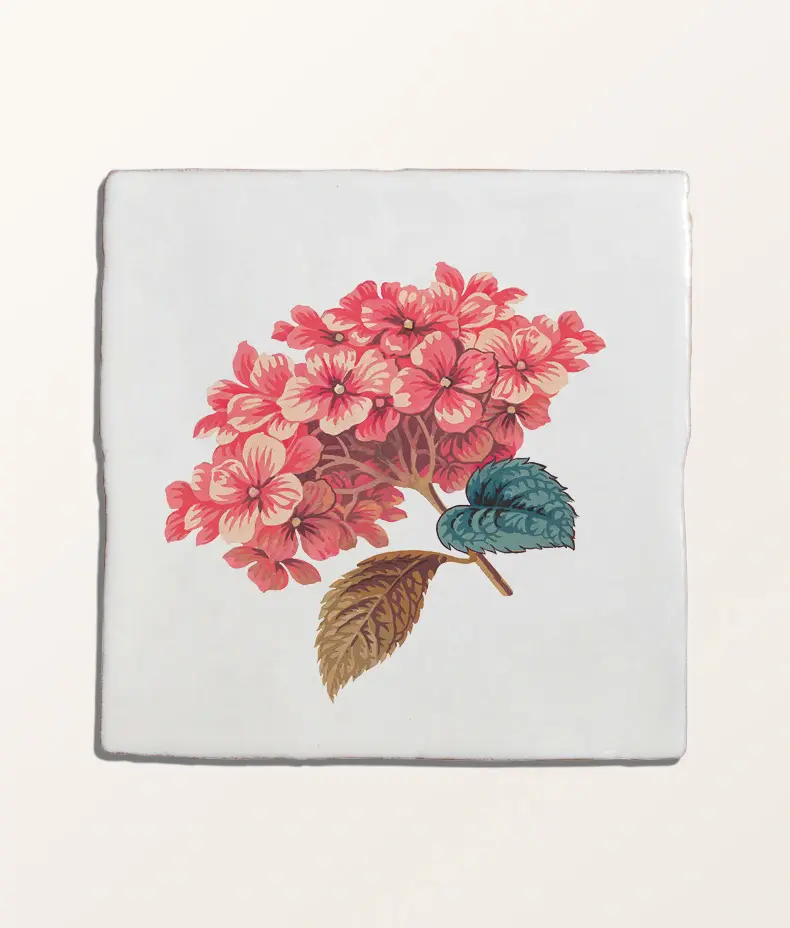 STUDIO Divine Savages The Brambles Collection