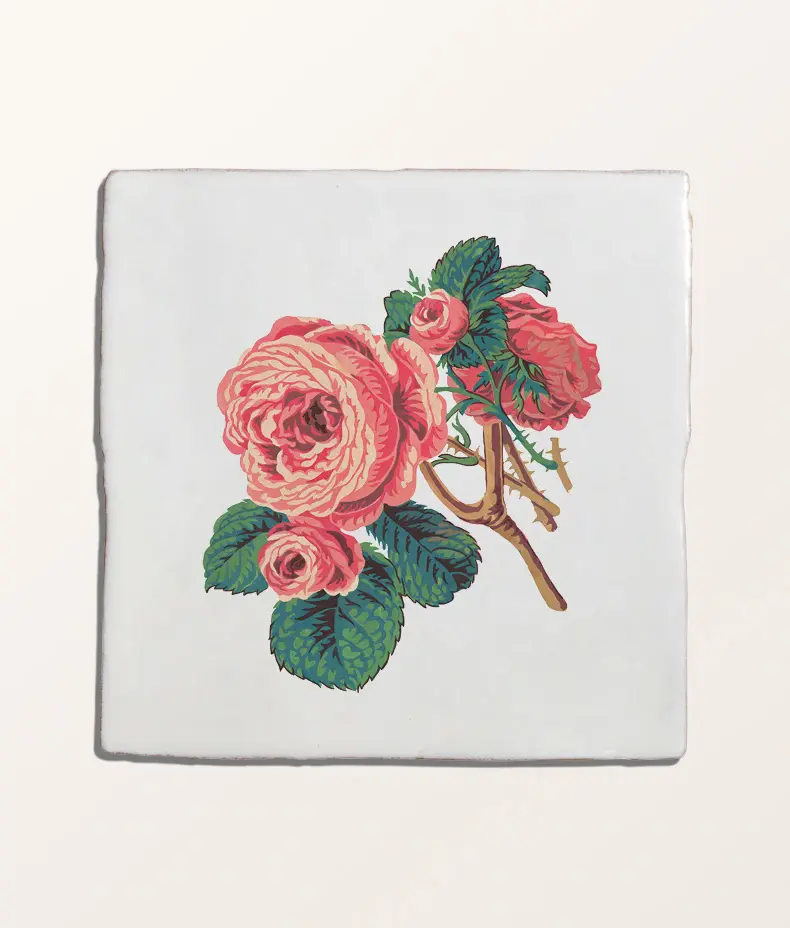 STUDIO Divine Savages The Brambles Collection