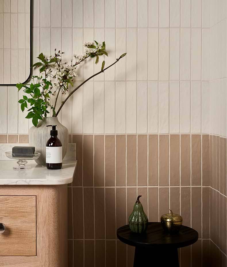 Earthenware Porcelain Plaster