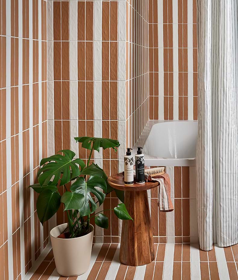Earthenware Porcelain Soft White