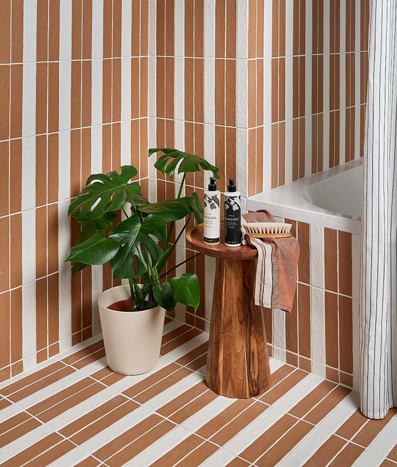 Earthenware Porcelain Soft White