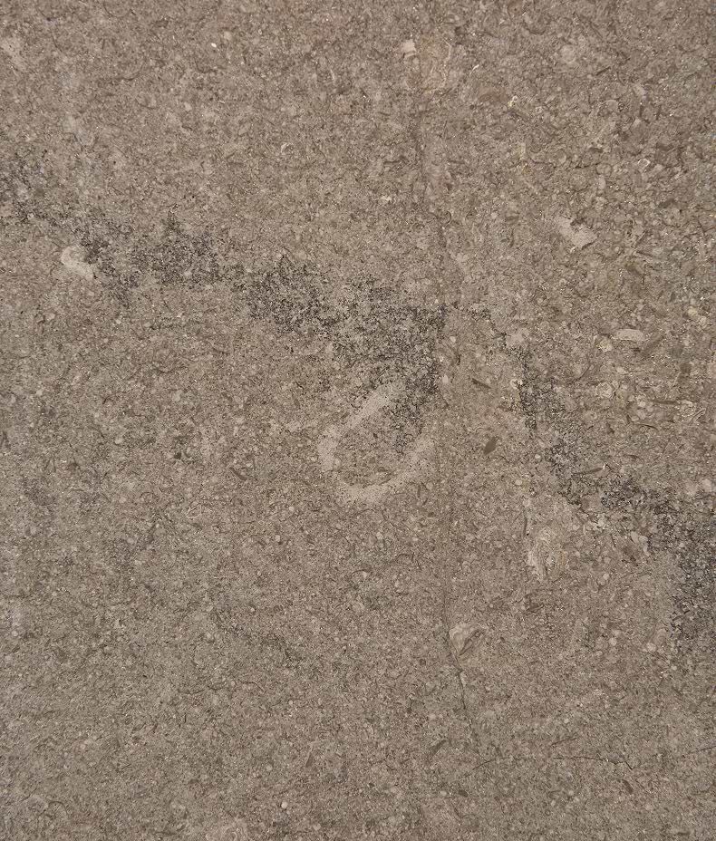 Kimmeridge Limestone Acid Etched Slab