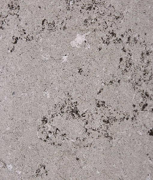 Kimmeridge Limestone Dry Etched Slab