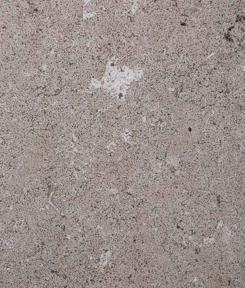 Kimmeridge Limestone Dry Etched Slab