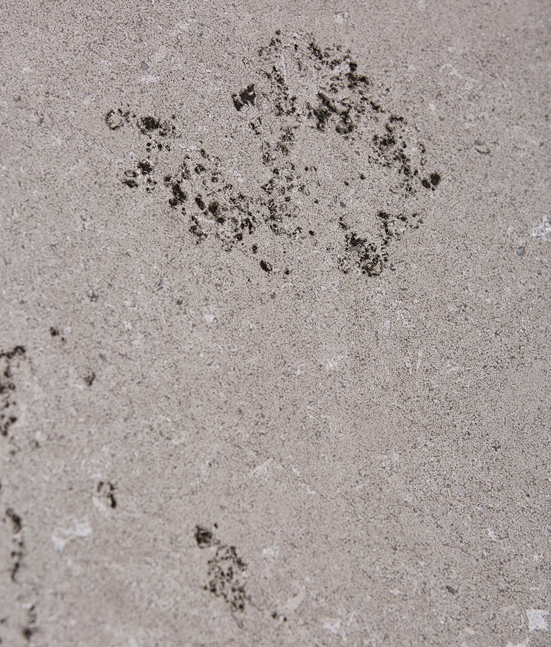 Kimmeridge Limestone Dry Etched Slab