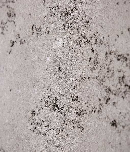 Kimmeridge Limestone Dry Etched Slab
