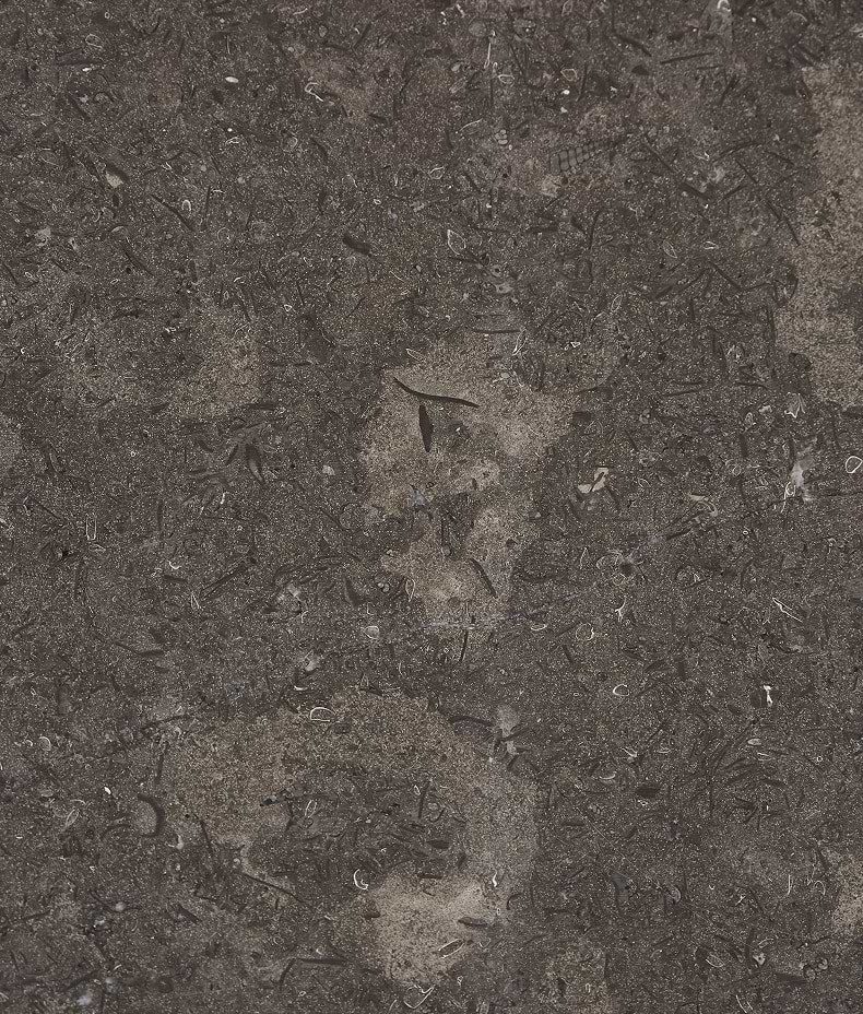 Kimmeridge Limestone Honed Slab