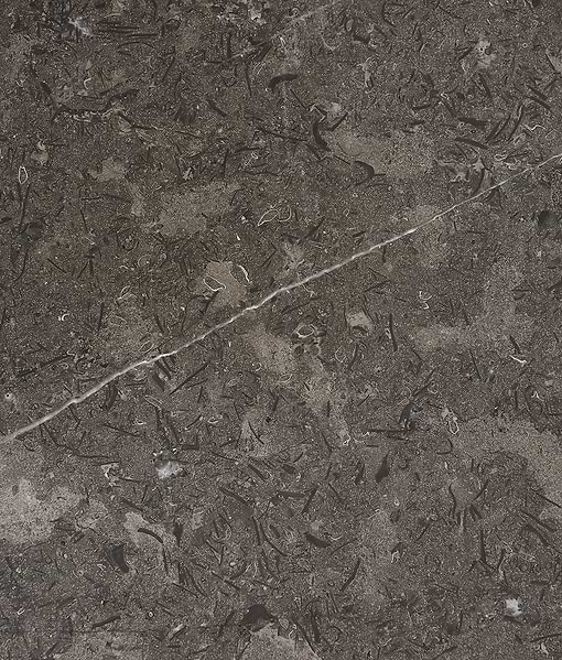 Kimmeridge Limestone Honed Slab