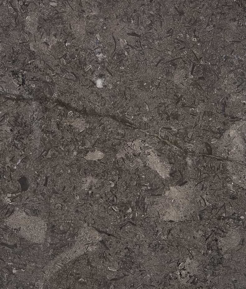 Kimmeridge Limestone Honed Slab