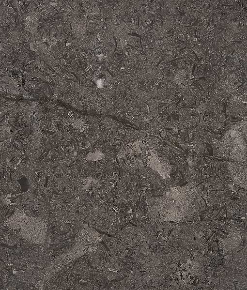 Kimmeridge Limestone Honed Slab