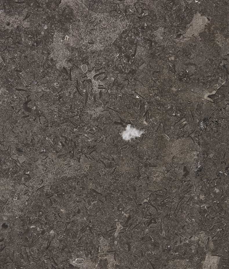 Kimmeridge Limestone Honed Slab
