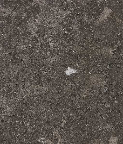 Kimmeridge Limestone Honed Slab