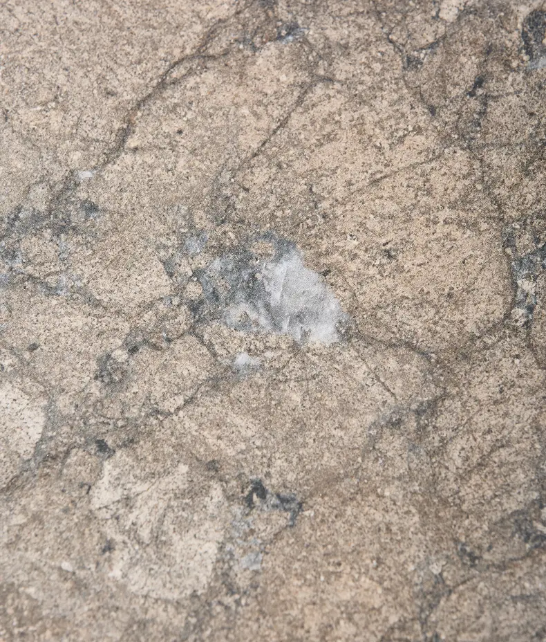 Lithos Porcelain Paving Textured Earth