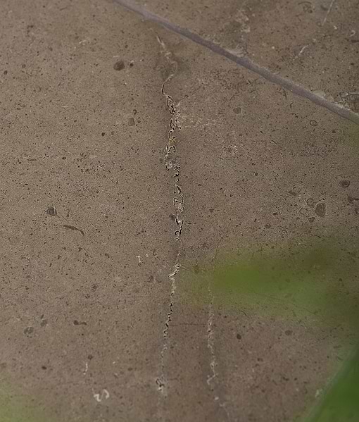 Hazlebury Limestone Weathered Finish