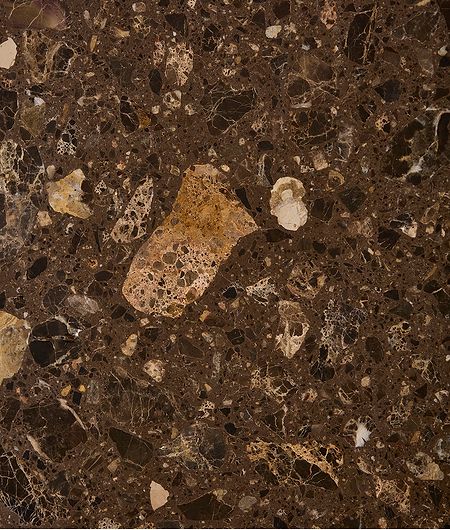 Rialto Terrazzo Ca'Doro Honed Slab