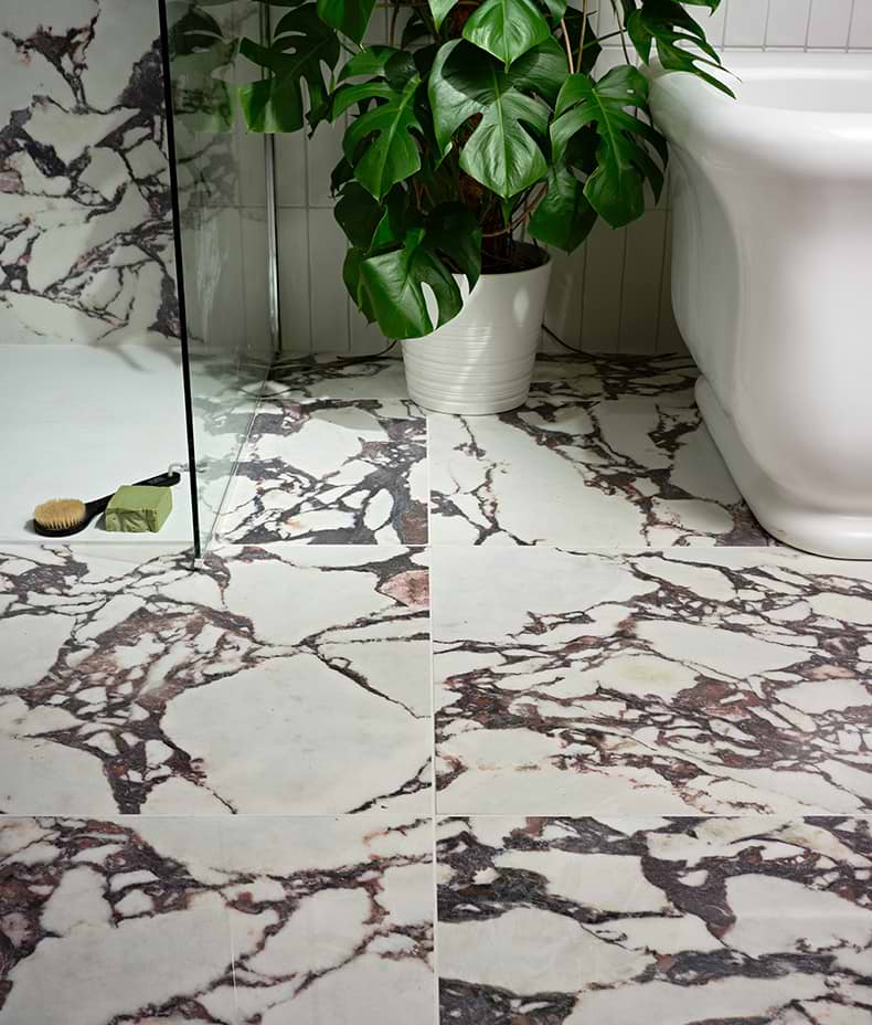 Savoy Porcelain