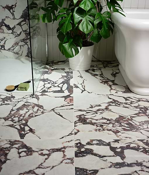 Savoy Porcelain