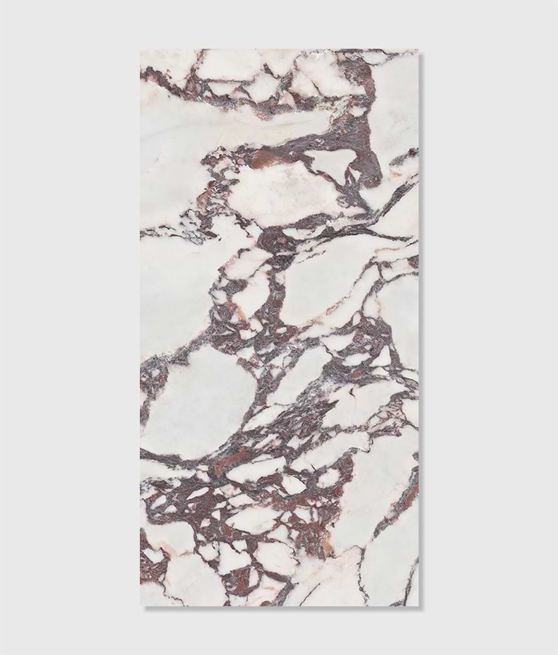 Savoy Porcelain