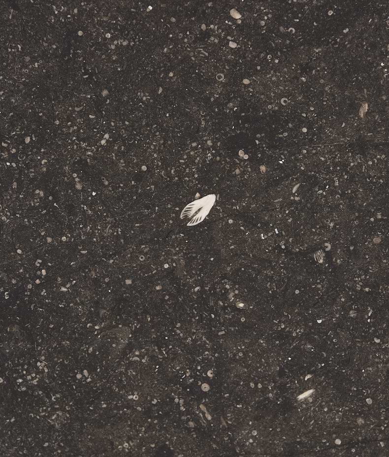 Tora Blue Honed Limestone Slab