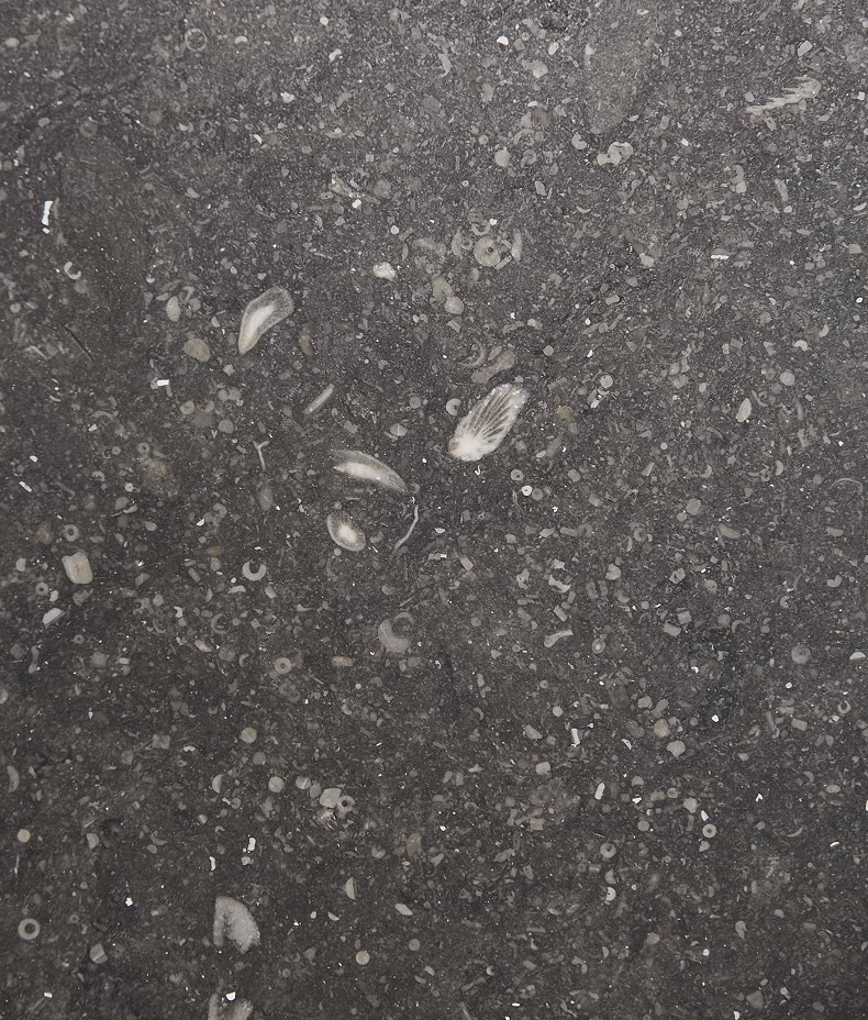 Tora Blue Honed Limestone Slab
