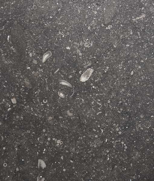 Tora Blue Honed Limestone Slab