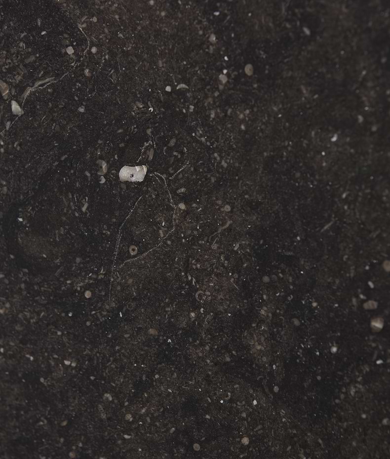 Tora Blue Honed Limestone Slab