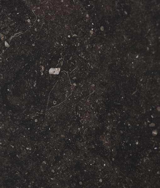 Tora Blue Honed Limestone Slab