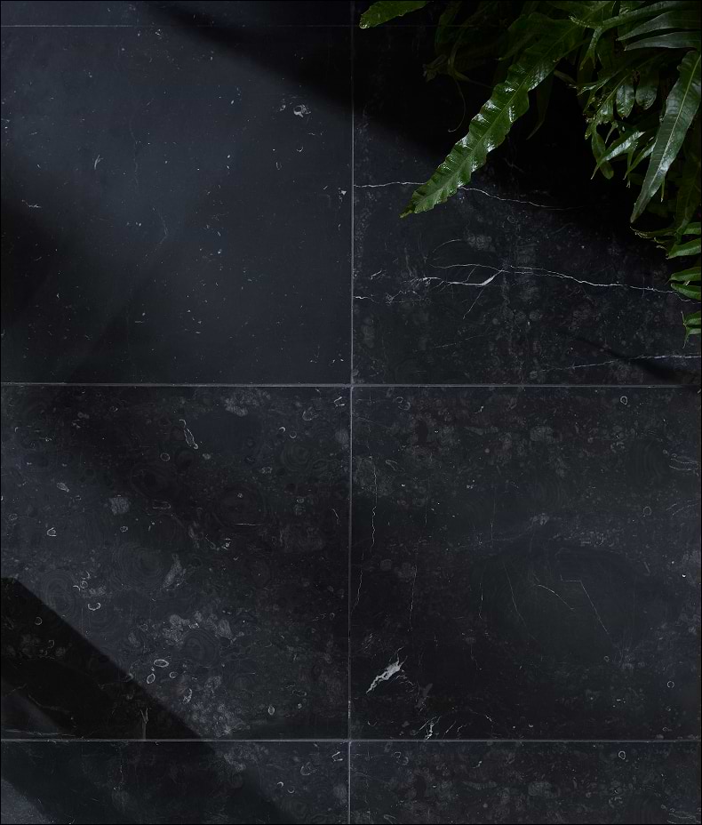 Versailles Marble Noir Honed