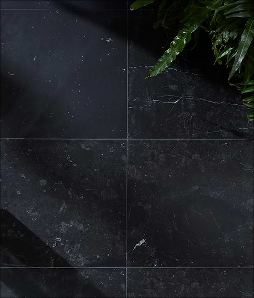 Versailles Marble Noir Honed