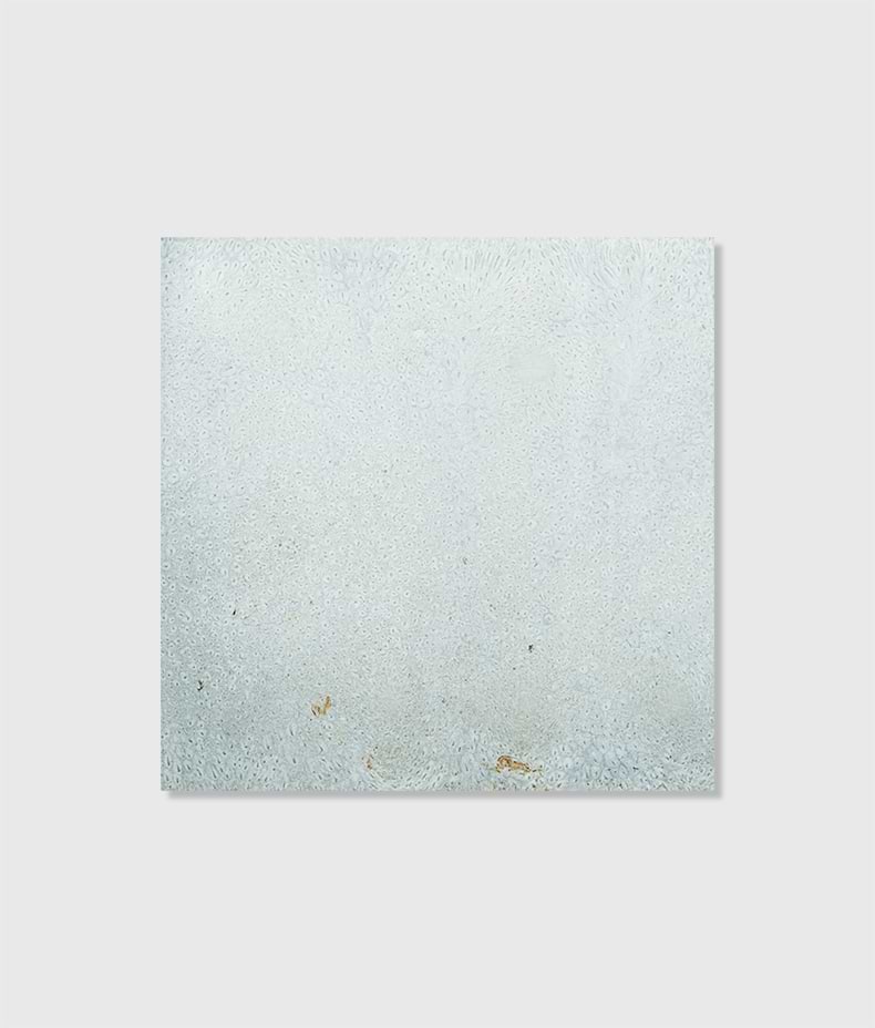 Nuance Ceramic