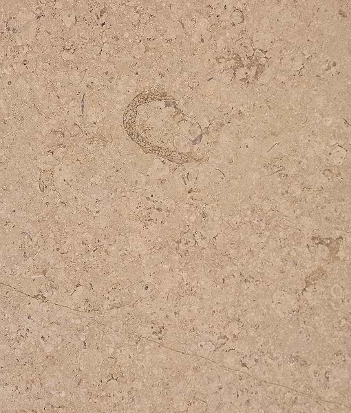 Wychwood Limestone Acid Etched Slab