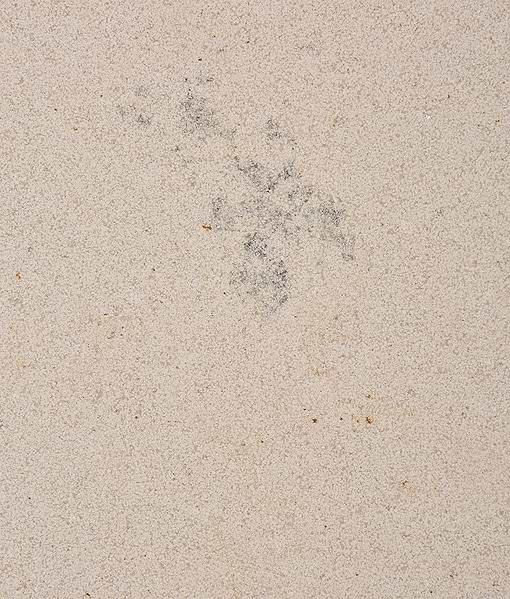 Wychwood Limestone Dry Etched Slab