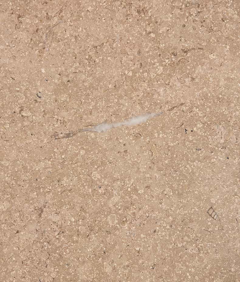 Wychwood Limestone Honed Slab